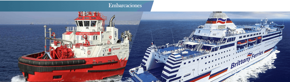 VASA es Progreso
