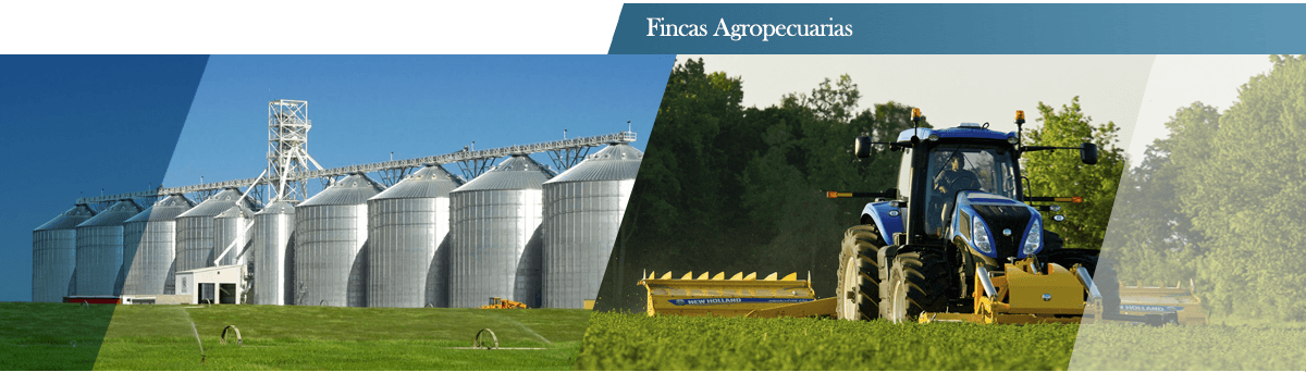 VASA es Progreso